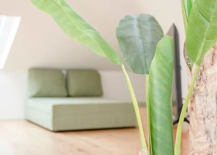 公寓 Liiiving In - Cedofeita Terrace 波尔图