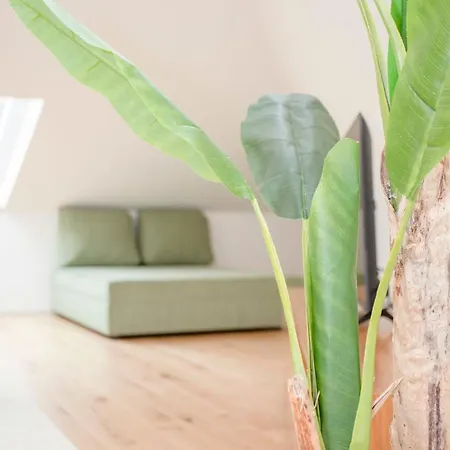 Lejlighed Liiiving In - Cedofeita Terrace Porto