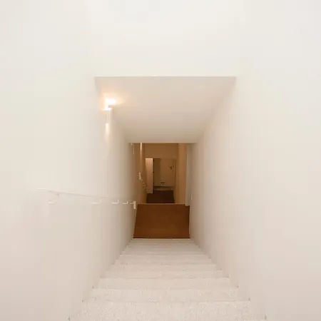 Liiiving In - Cedofeita Terrace Διαμέρισμα