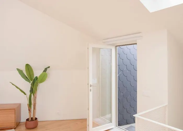 Liiiving In - Cedofeita Terrace